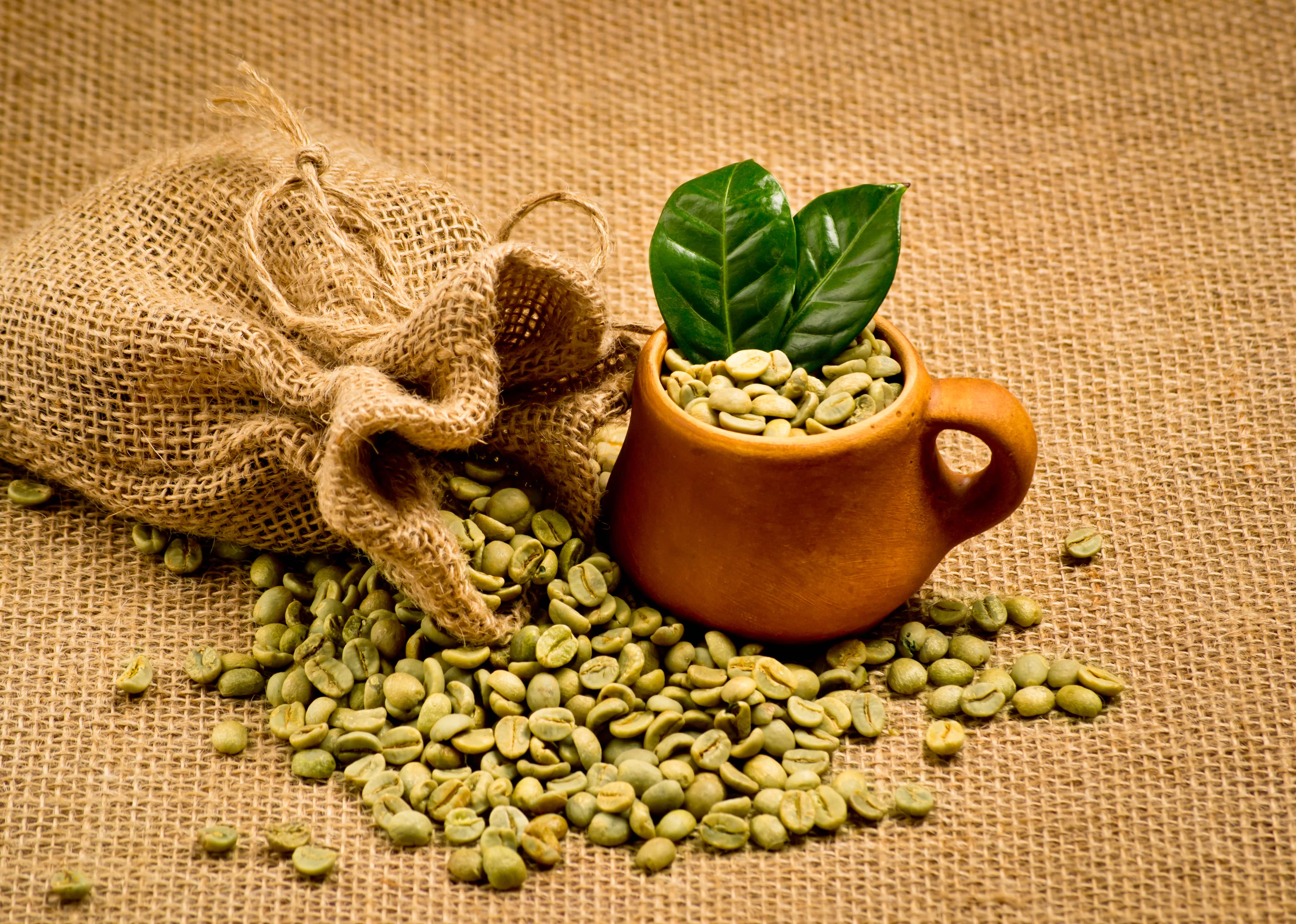 What Does Green Coffee Bean Do For Weight Loss and Other Health Issues