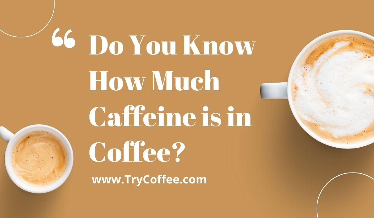 Do You Know How Much Caffeine is in Coffee