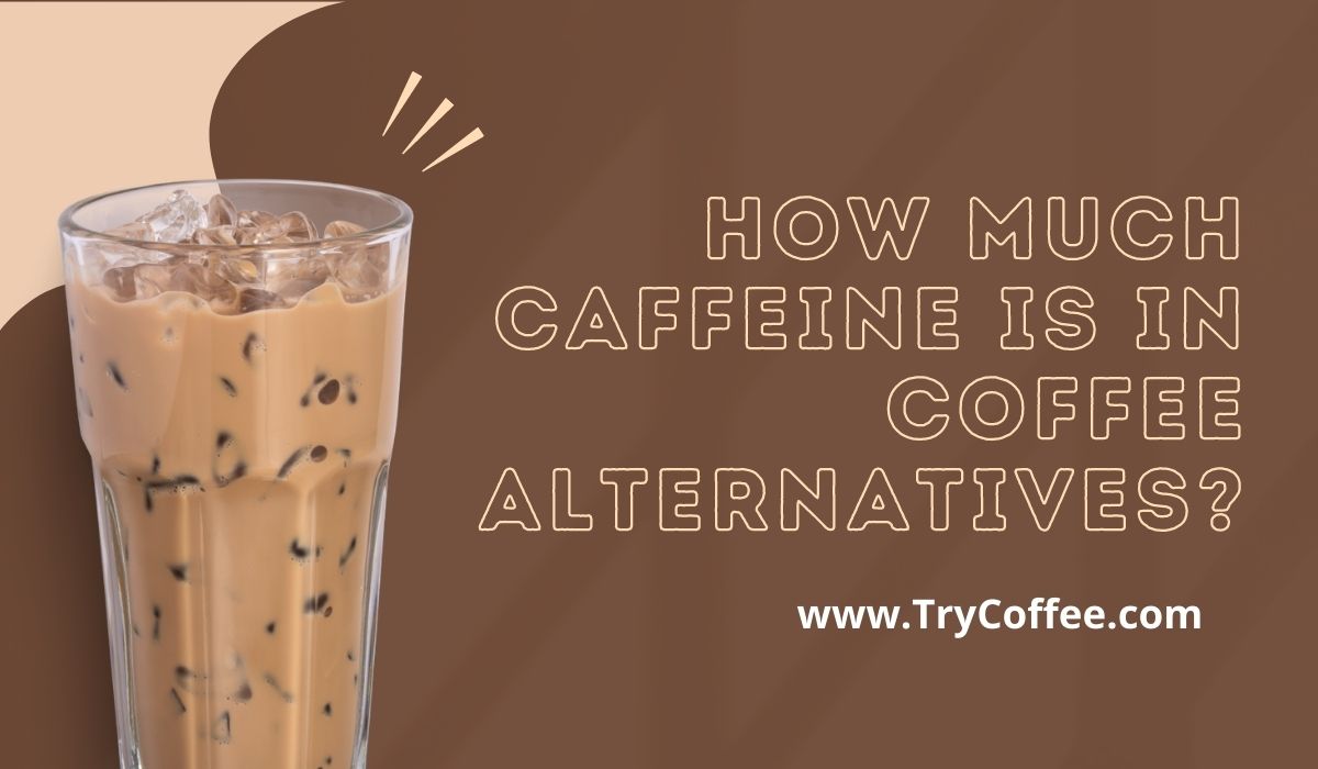 How Much Caffeine is in Coffee Alternatives The Answers May Surprise You!