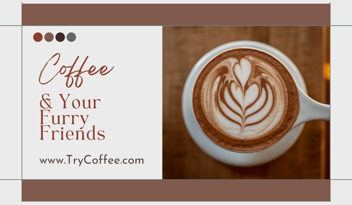 Coffee & Your Furry Friends