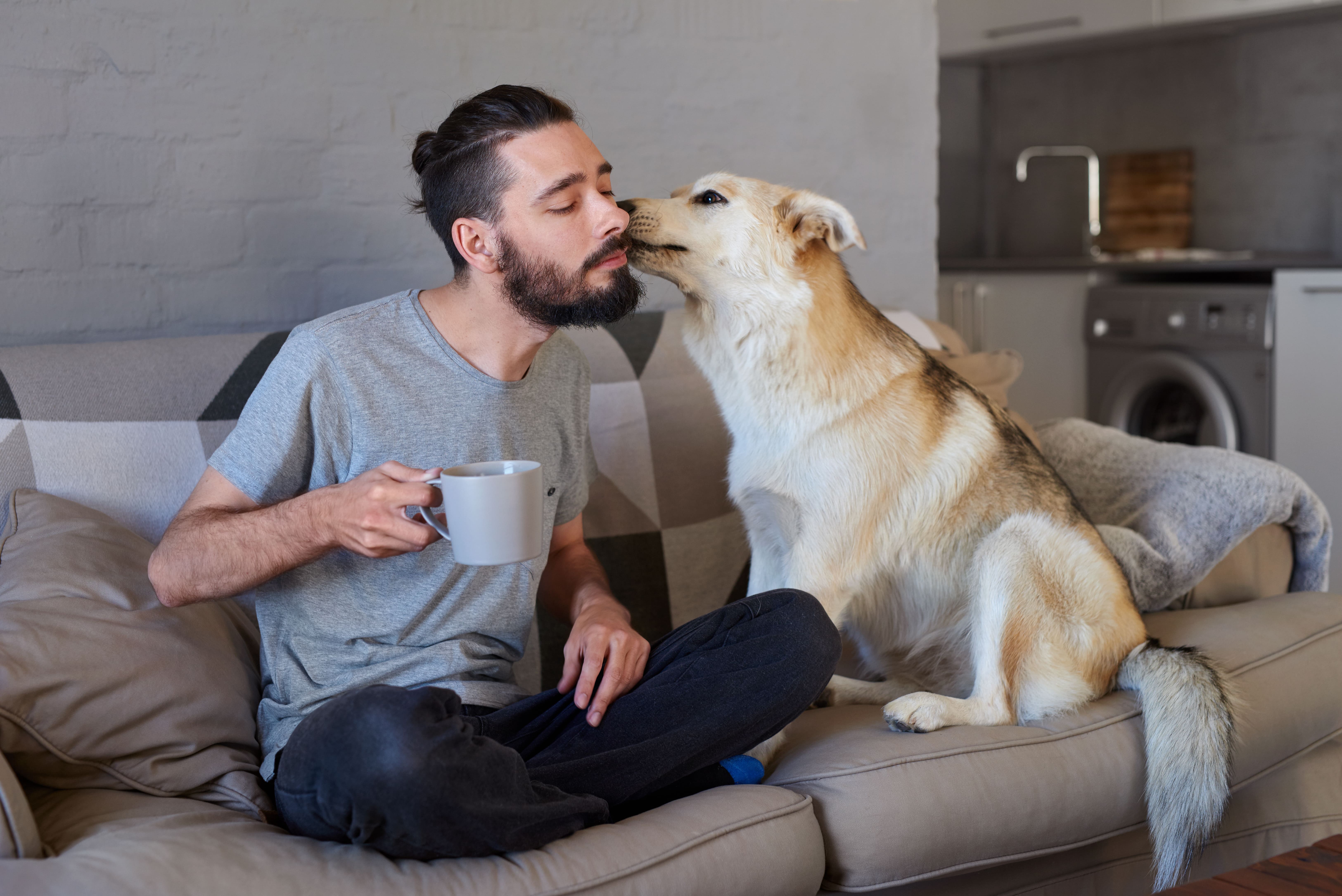 Coffee & Dog