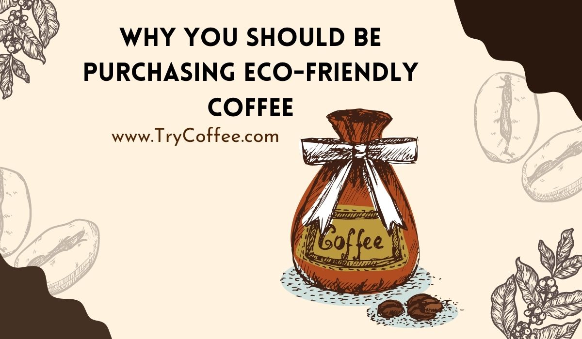 Why You Should Be Purchasing Eco-Friendly Coffee