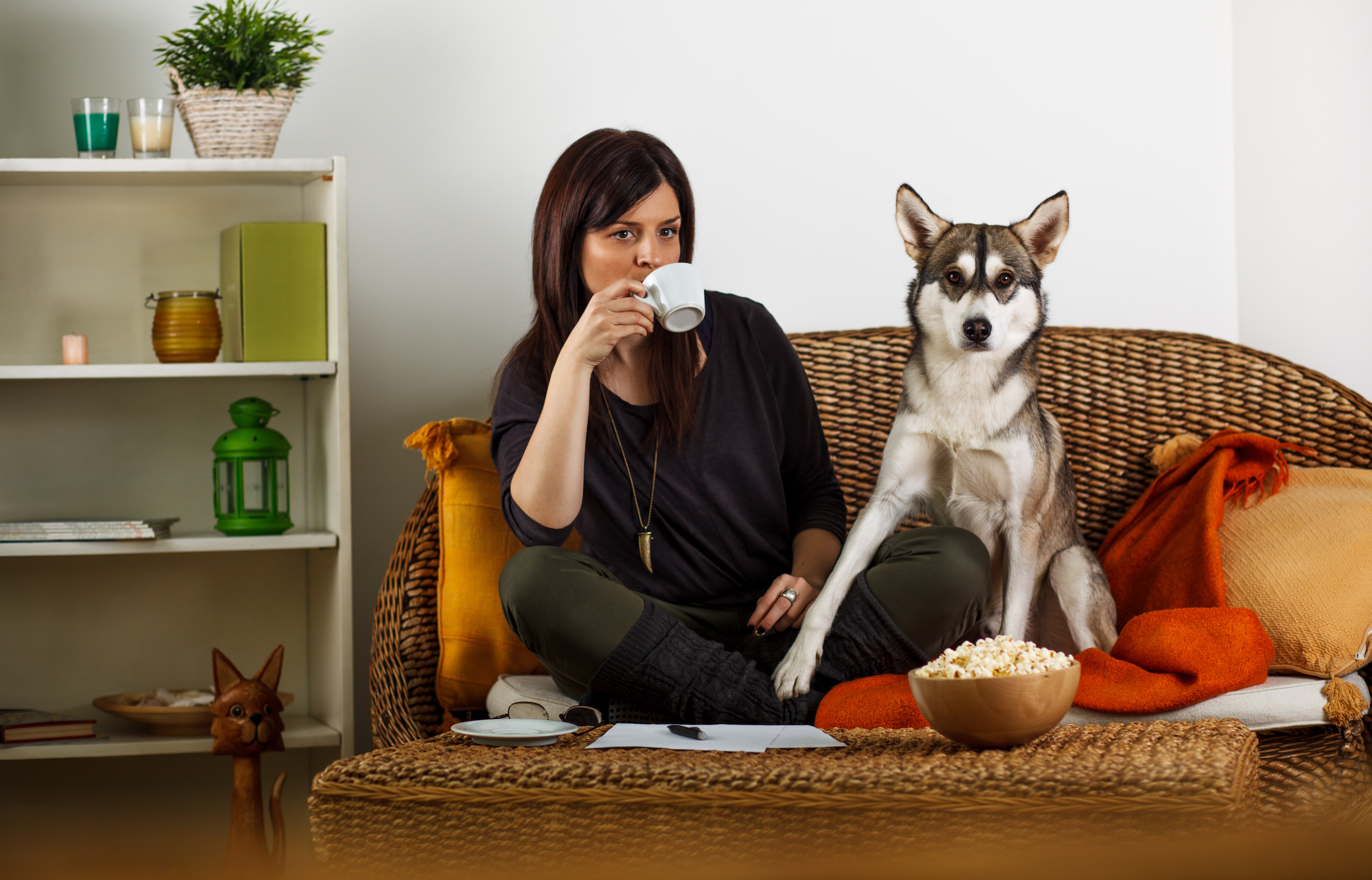 Incorporating Time With Your Pets Into Your Coffee Routine Try Coffee