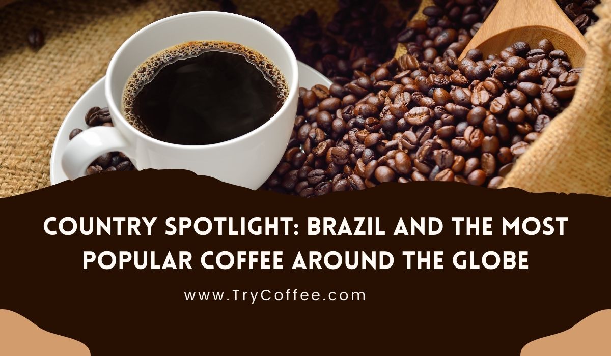 Country Spotlight Brazil and the Most Popular Coffee Around the Globe