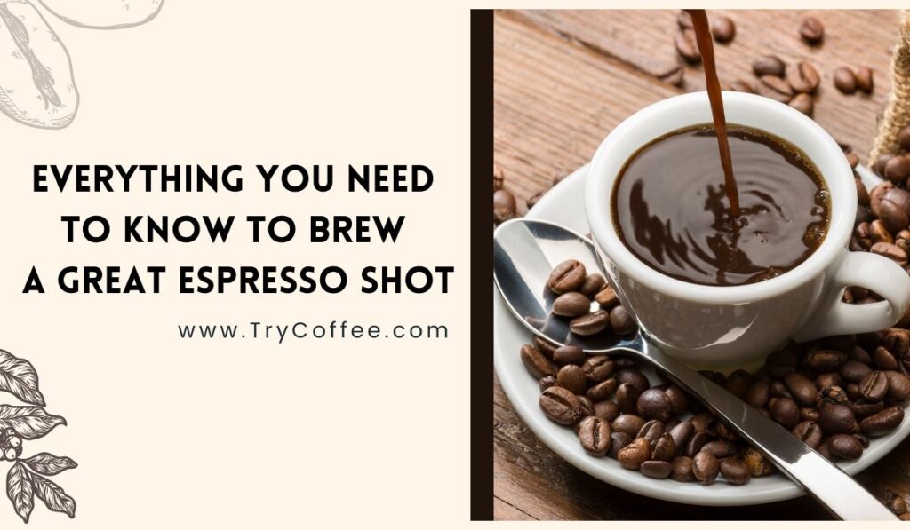 Everything You Need to Know to Brew a Great Espresso Shot (Find Out Now)