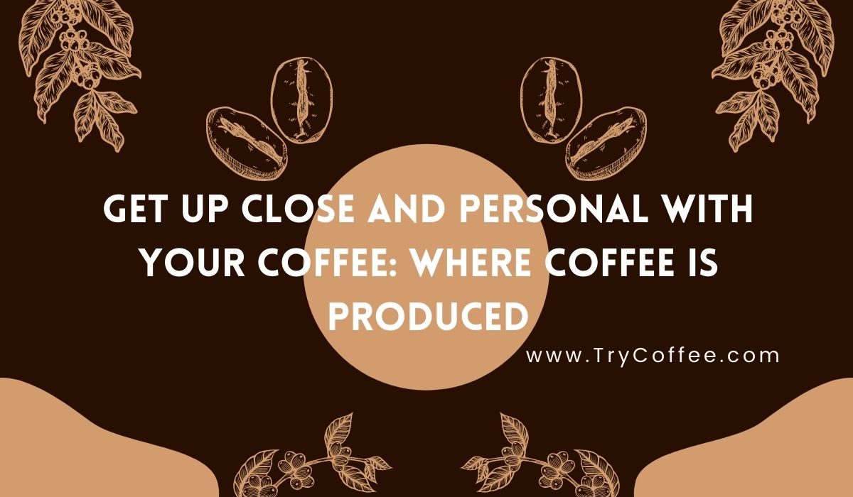 Get Up Close and Personal With Your Coffee Where Coffee is Produced