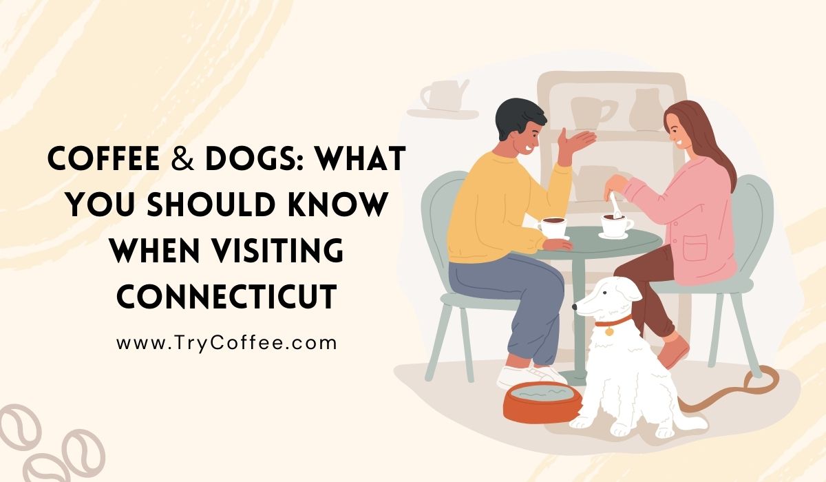 Coffee & Dogs What You Should Know When Visiting Connecticut