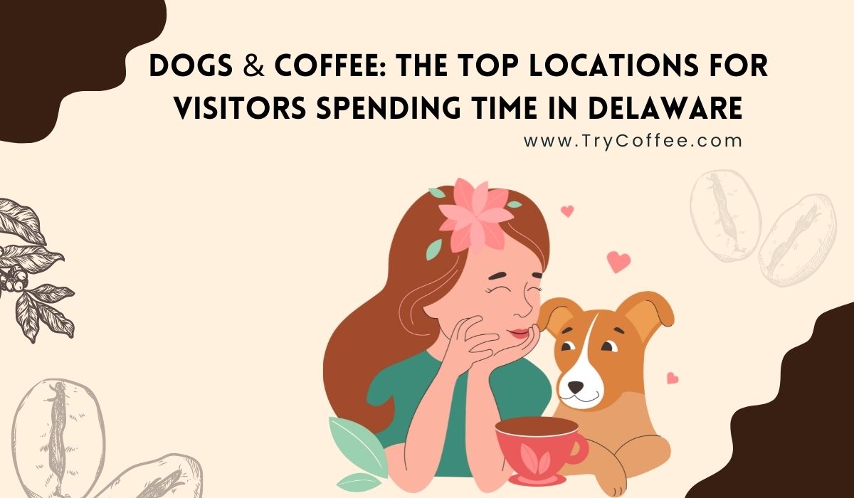 Dogs & Coffee The Top Locations for Visitors Spending Time in Delaware