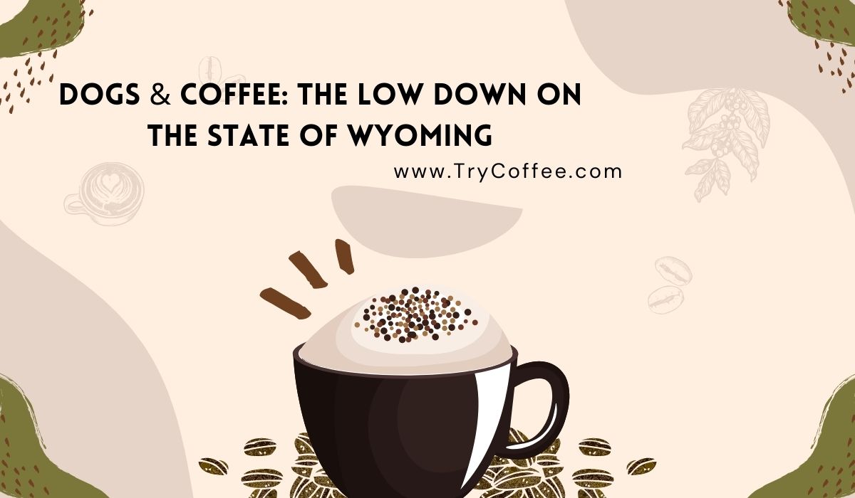 Dogs & Coffee The Low Down on the State of Wyoming