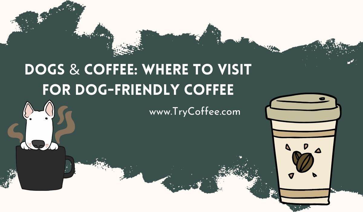 Dogs & Coffee