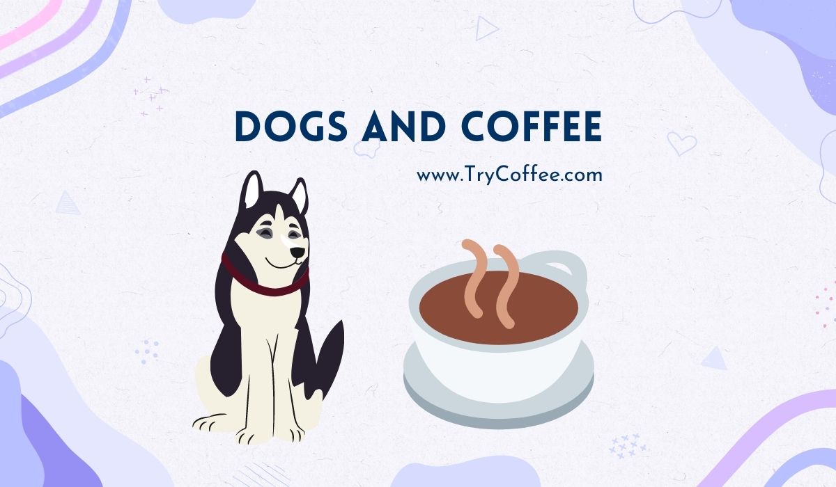 Dogs and Coffee