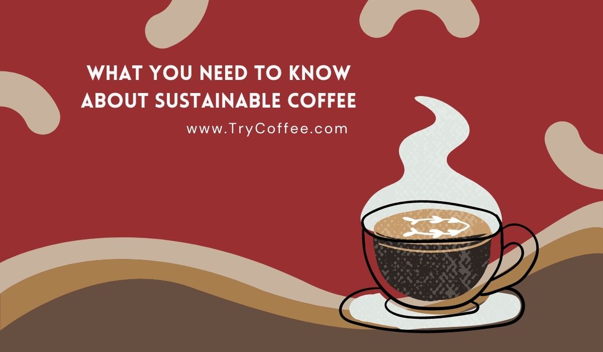 What You Need to Know About Sustainable Coffee
