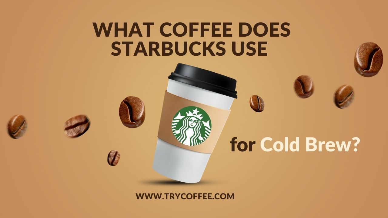 What-Coffee-Does-Starbucks-Use-for-Cold-Brew