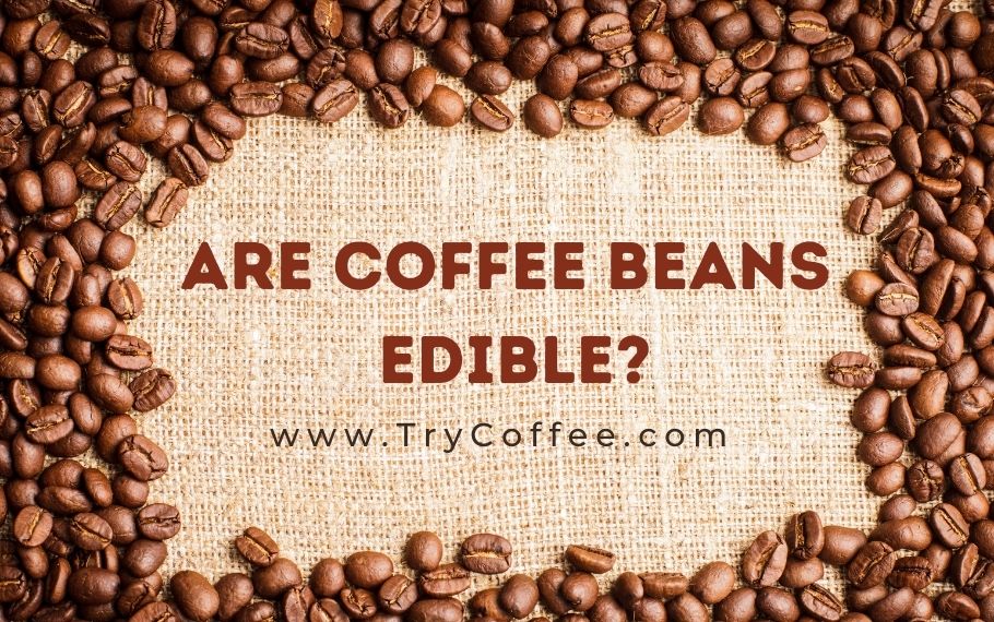 Are-Coffee-Beans-Edible