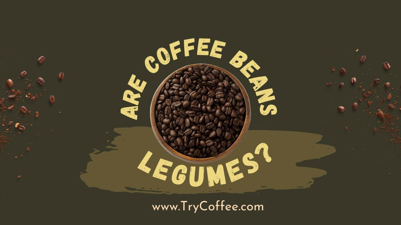 Are-Coffee-Beans-Legumes