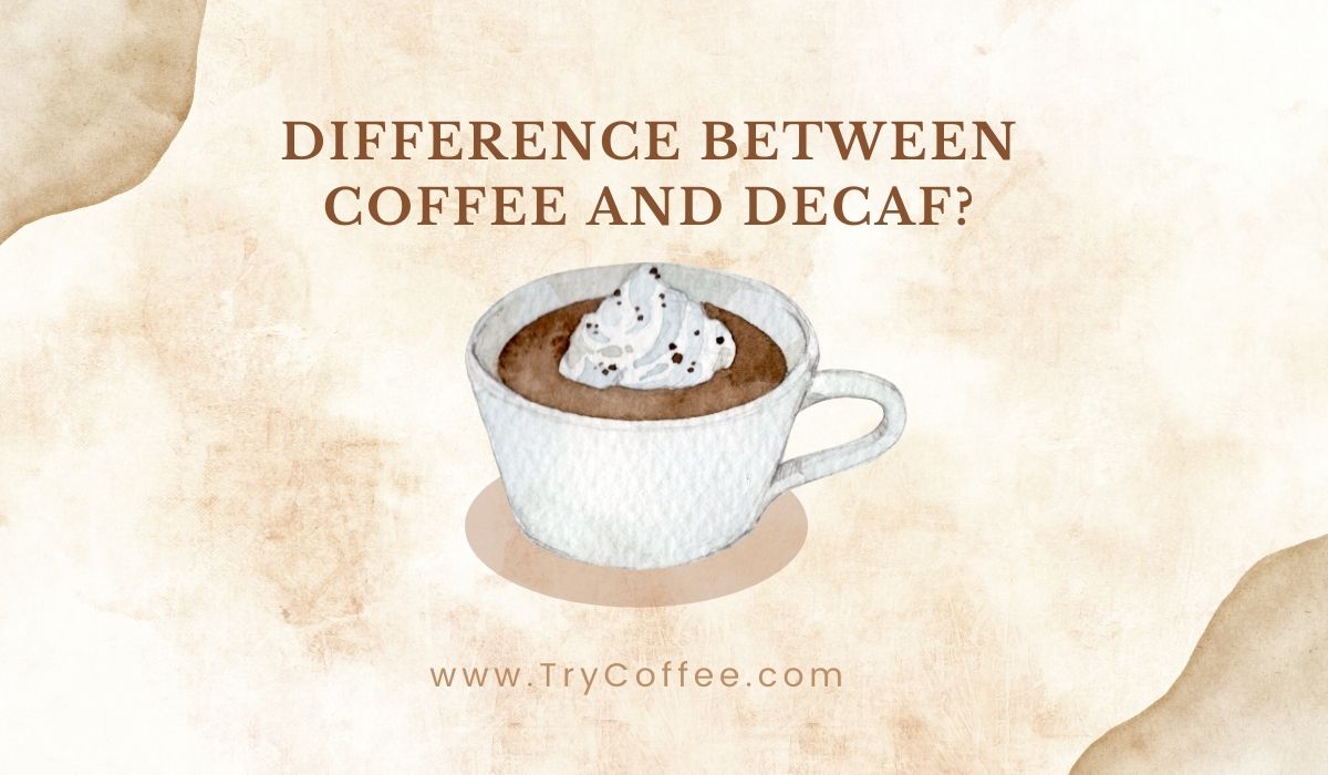 Difference-Between-Coffee-and-Decaf