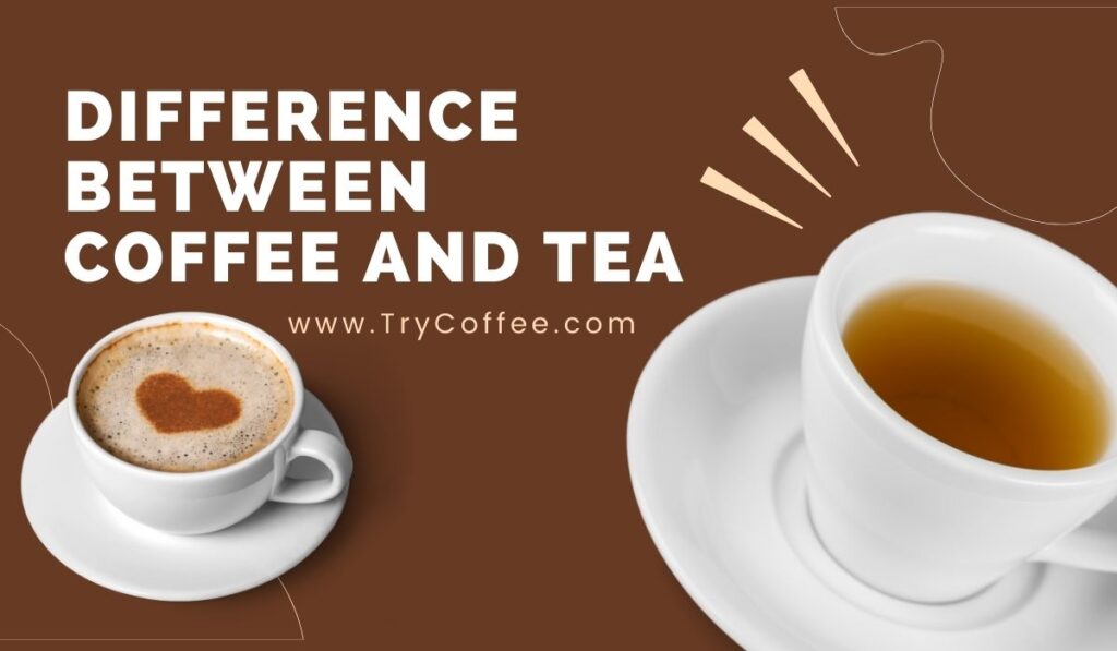 Difference Between Coffee and Tea? (Core Differences) Try Coffee