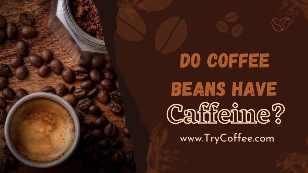 Do-Coffee-Beans-Have-Caffeine