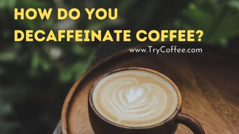 How Does Peet's Decaffeinate Their Coffee How Do You Decaffeinate Coffee? [ Everything You Need to Know! ]