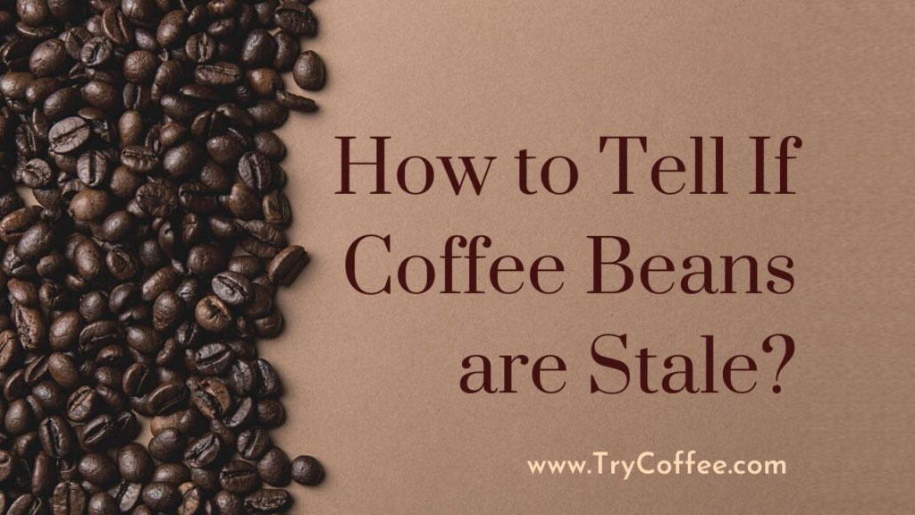 How-to-Tell-If-Coffee-Beans-are-Stale