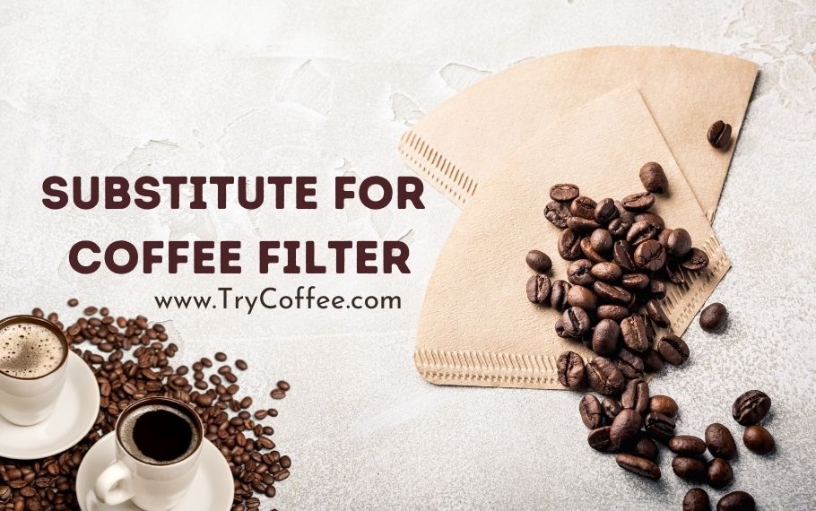 Substitute-for-Coffee-Filter