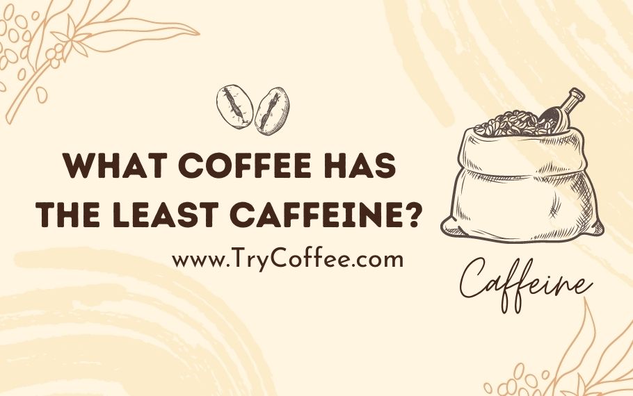 What-Coffee-Has-the-Least-Caffeine