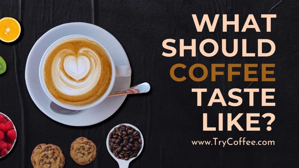 What Should Coffee Taste Like? (The Real Taste) Try Coffee