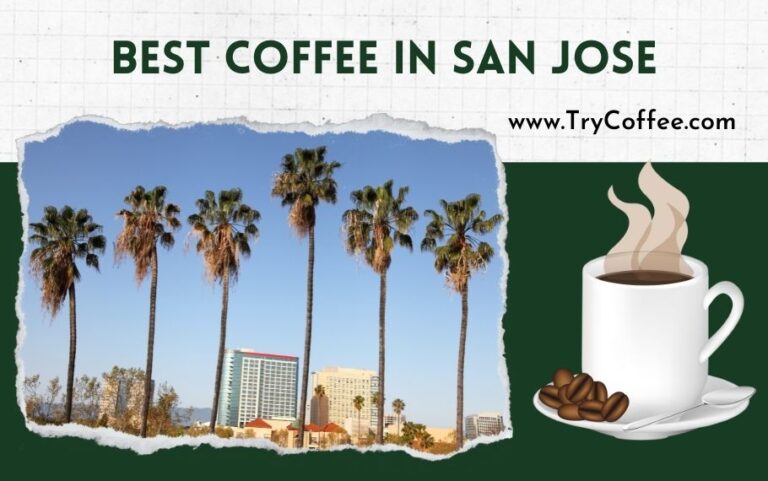 Best Coffee in San Jose