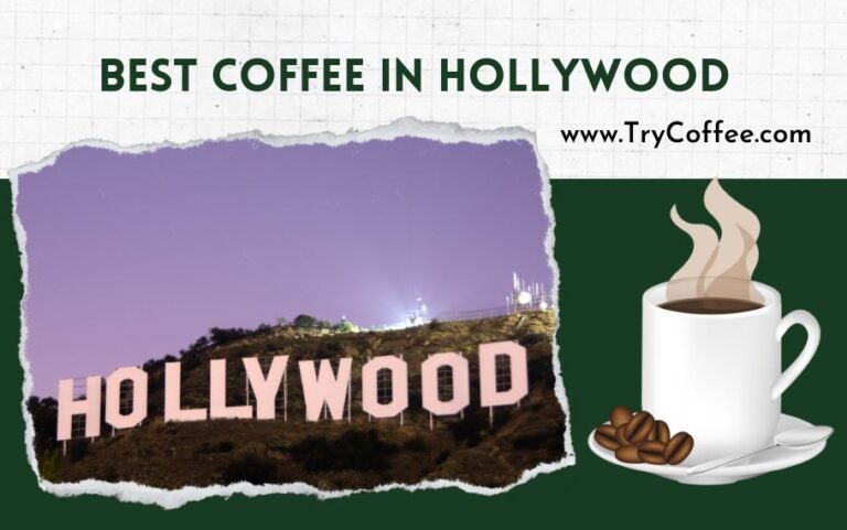 best coffee in hollywood