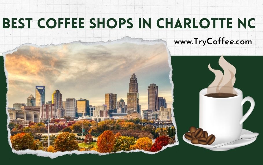 best coffee shops in charlotte nc