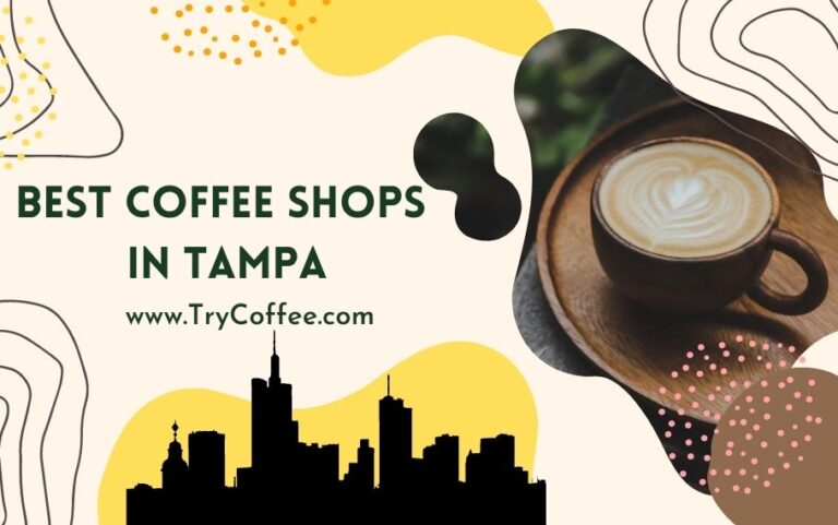 best coffee shops in tampa