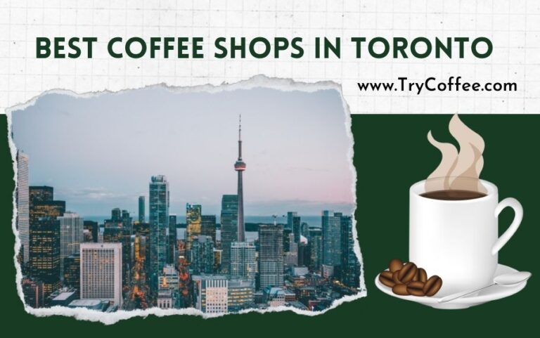 best coffee shops in toronto