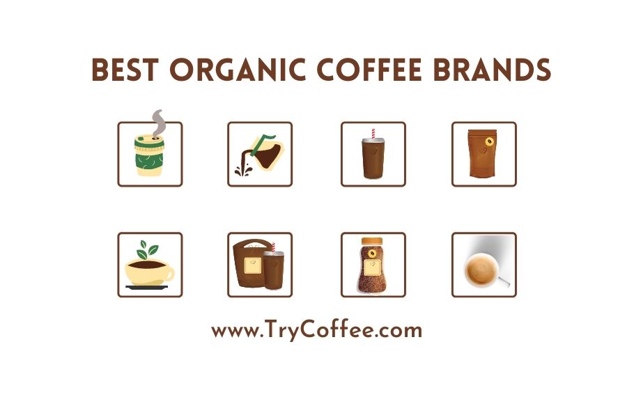 best-organic-coffee-brands
