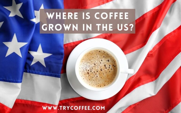 coffee-grown-in-the-US