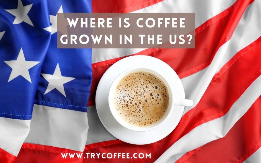 coffee-grown-in-the-US