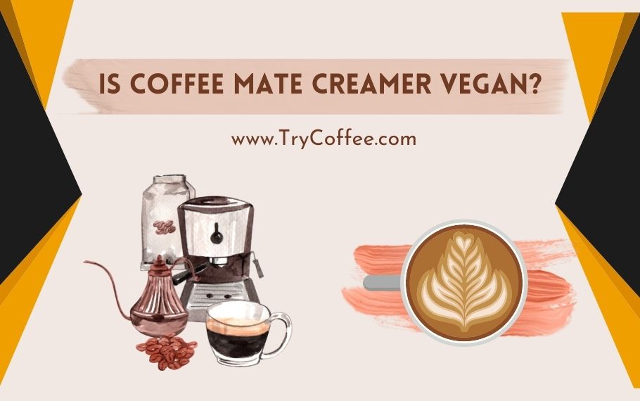 is-coffee-mate-creamer-vegan